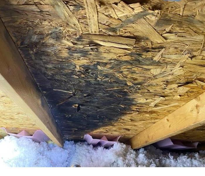 Mold remediation work in the attic of a home