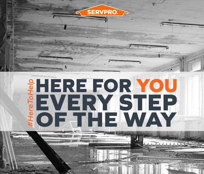 SERVPRO of Bloomington water and mold 